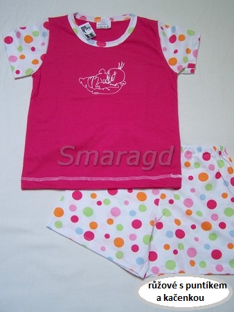 slide /fotky545/slider/let-pyz-kacena.jpg