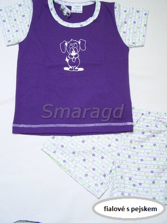slide /fotky545/slider/let-pyz-pes.jpg